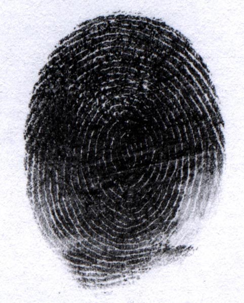 forensics lab 8.0: revealing latent fingerprints