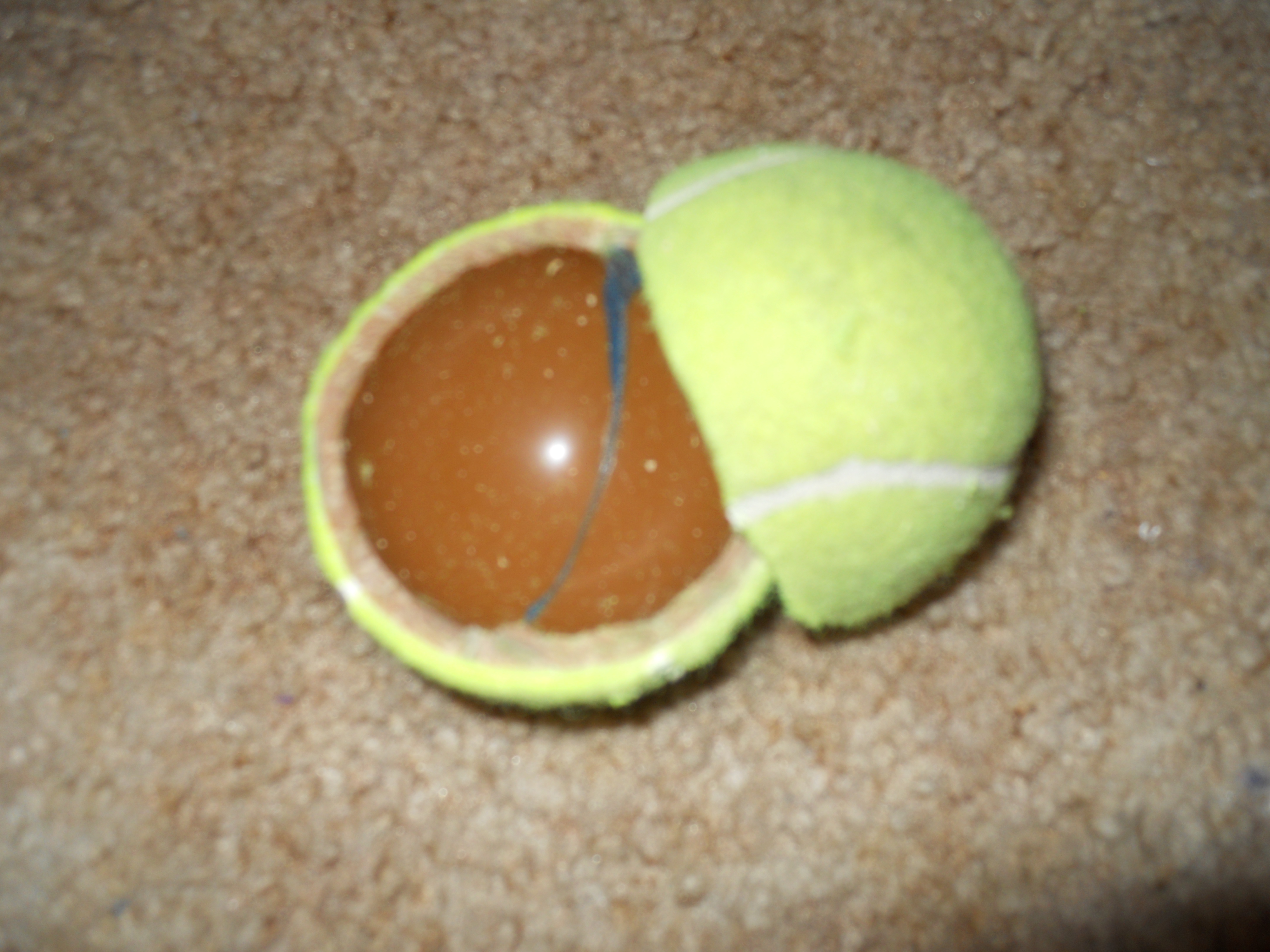 Slordig Moderniseren Arab Tennis Ball Random Goods Holder - Make: