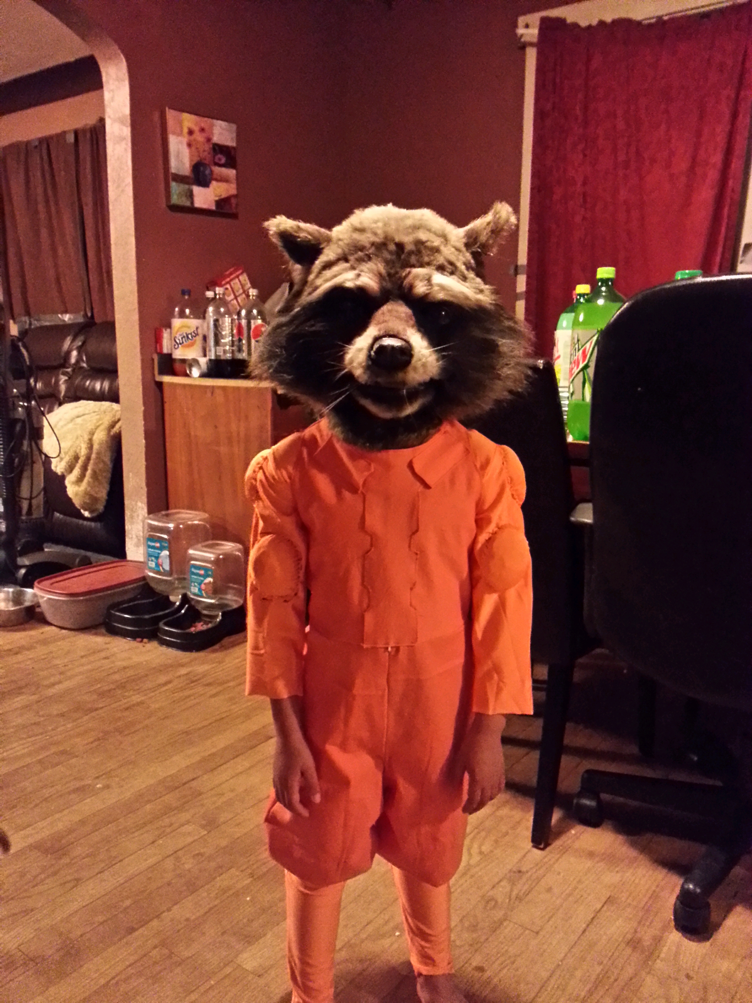 rocket raccoon costume