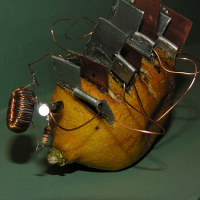 The elder lemon joule thief