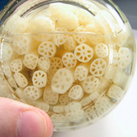 Deconstructing the lotus root