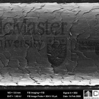 Ion-etching on human hair