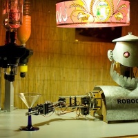 Roboexotica photos