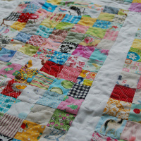 La Belle’s First Machine Quilting Project