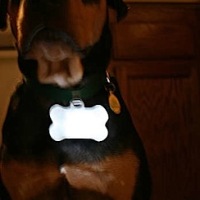 Glow bone dog collar attachment