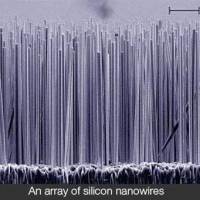 Chia Pet meets the solar cell