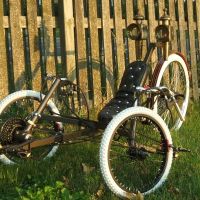 Brass Lion recumbent tricycle