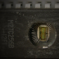 Macro microchip