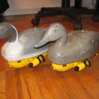 Remote-controlled ducks