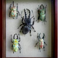 Jennifer Khoshbin’s Bugs