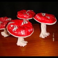 Paper cup mushrooms