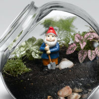 Easy Kid’s Terrarium