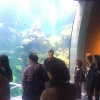 California Academy of Sciences sneak peek