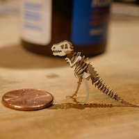 Tinysaurus