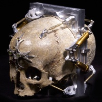 Pinhole skull camera – The Art of Wayne Martin Belger