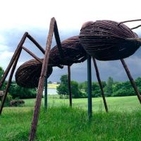 David Rogers’ Big Bugs