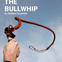 Weekend Project: The Bullwhip (PDF)