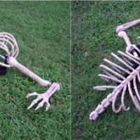 Creepy crawling skeleton