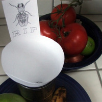 HOW TO – Fruit fly trap