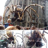 Photos of La Machine’s giant spider!