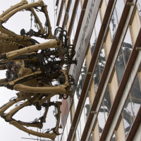 Giant spider dormant in Liverpool …