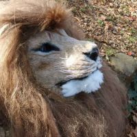 Lion mask Instructable