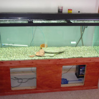 DIY: Fish tank stand