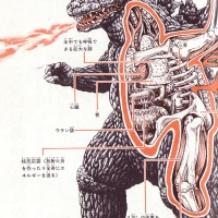 Anatomical drawings of Japanese movie monsters