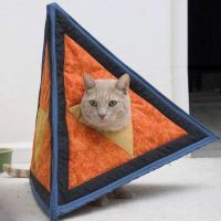 Catahedron: Your Cat as a Platonic Solid