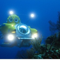 Capt. Stanley’s unlicensed shark dives in Honduras with homemade sub