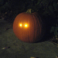 Dark-detecting pumpkin light circuit