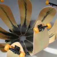 Skateboard flower