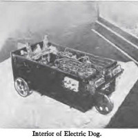 Seleno, The Electric Dog
