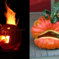 Extreme Pumpkins!