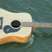 Guitar-boat