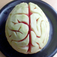 HOW TO – Melon brain