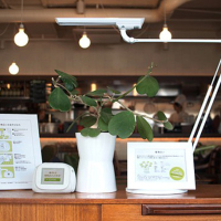 System lets your plants blog their daily existence