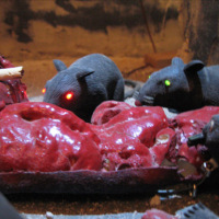 DIY Halloween: Motorized Rat Feast