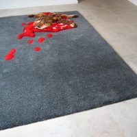 “Road Kill Carpet”