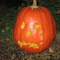 “Self-Carving” Pumpkin