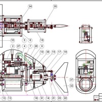 Robotic fish