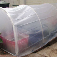 Build an easy 5 x 5 home greenhouse for under 