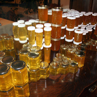 Backyard beekeeping – 120 pounds of honey