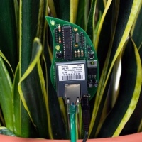 “Open Source” plant watering…