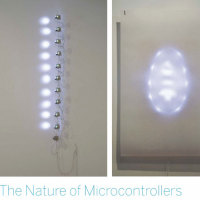 The Nature of Microcontrollers