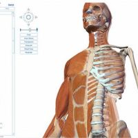 Think Anatomy learning site