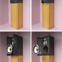 Loudspeaker turned into cuckoo clock rocks the party