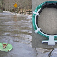 Collar system will save your pet from drowning and locate them at night