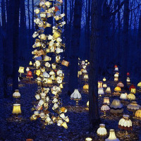 Lamps take root in the forest