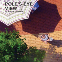 Weekend Project: Pole’s Eye View (PDF)